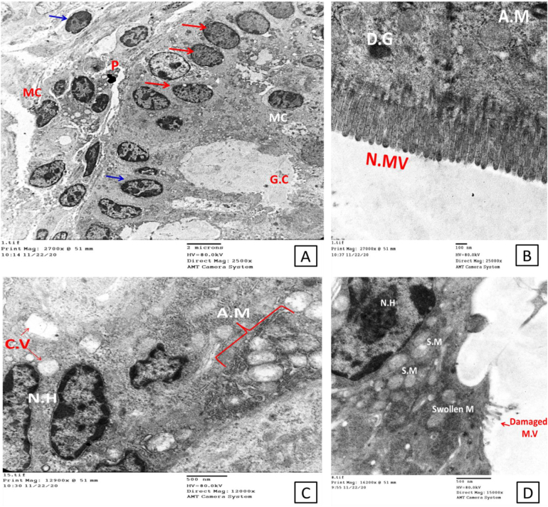 Fig. 5