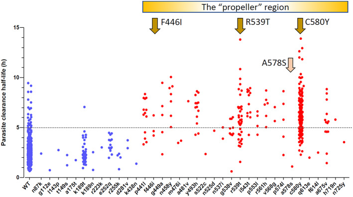 FIGURE 3