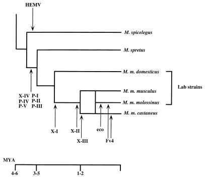 FIG. 10