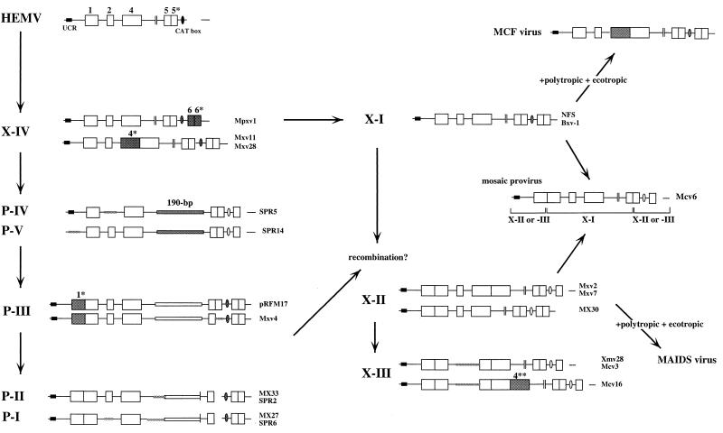 FIG. 9