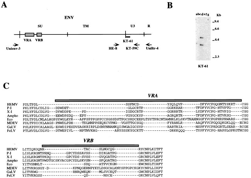 FIG. 6