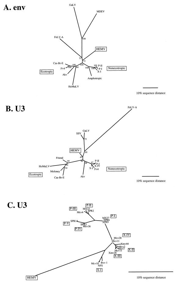 FIG. 8