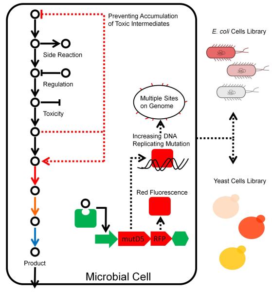 Figure 14