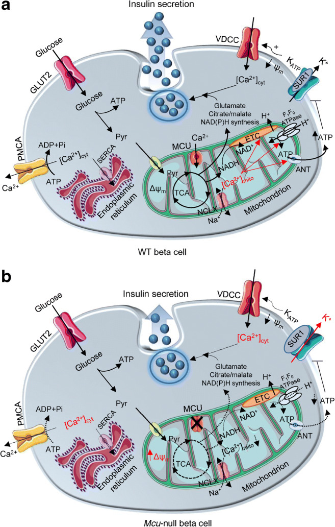 Fig. 7