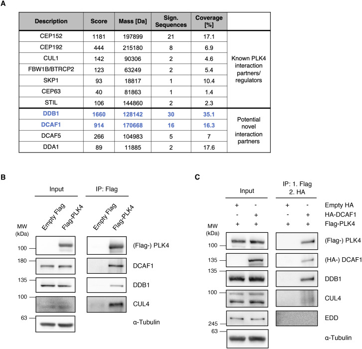 Figure S1.