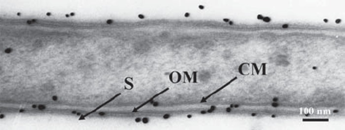 Fig. 1.