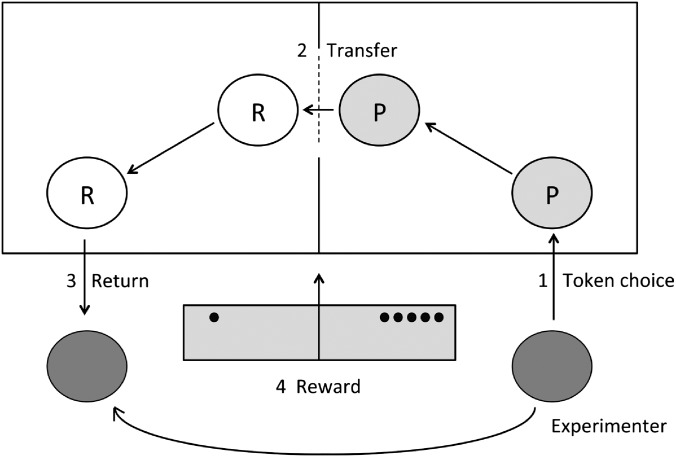 Fig. 1.