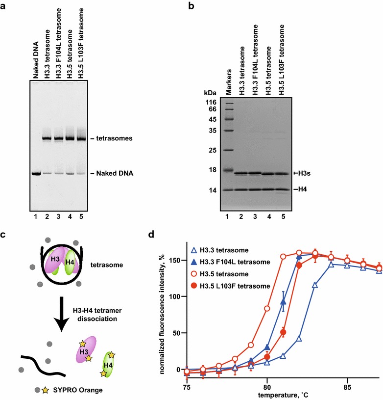 Fig. 4