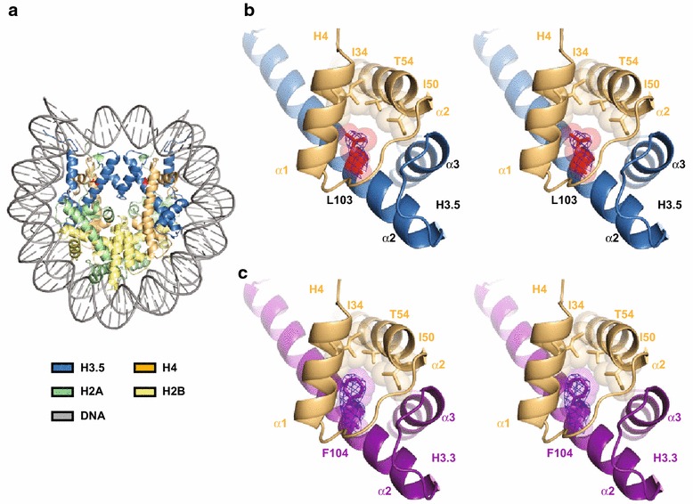 Fig. 2