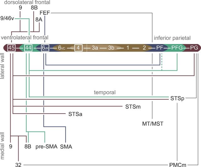 Figure 3.