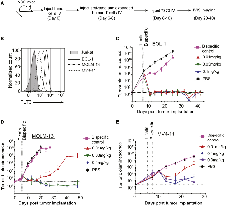 Figure 3