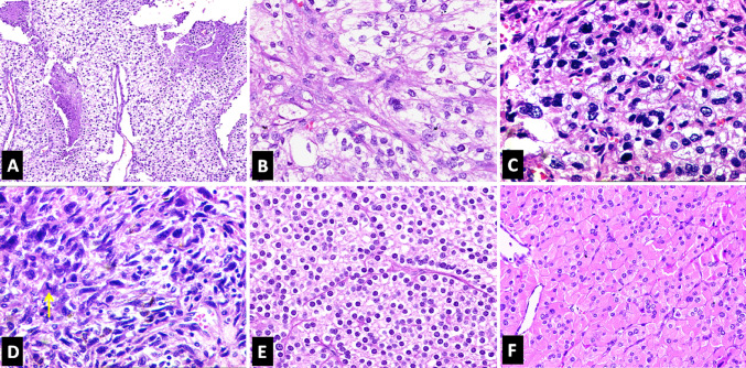 Fig. 2