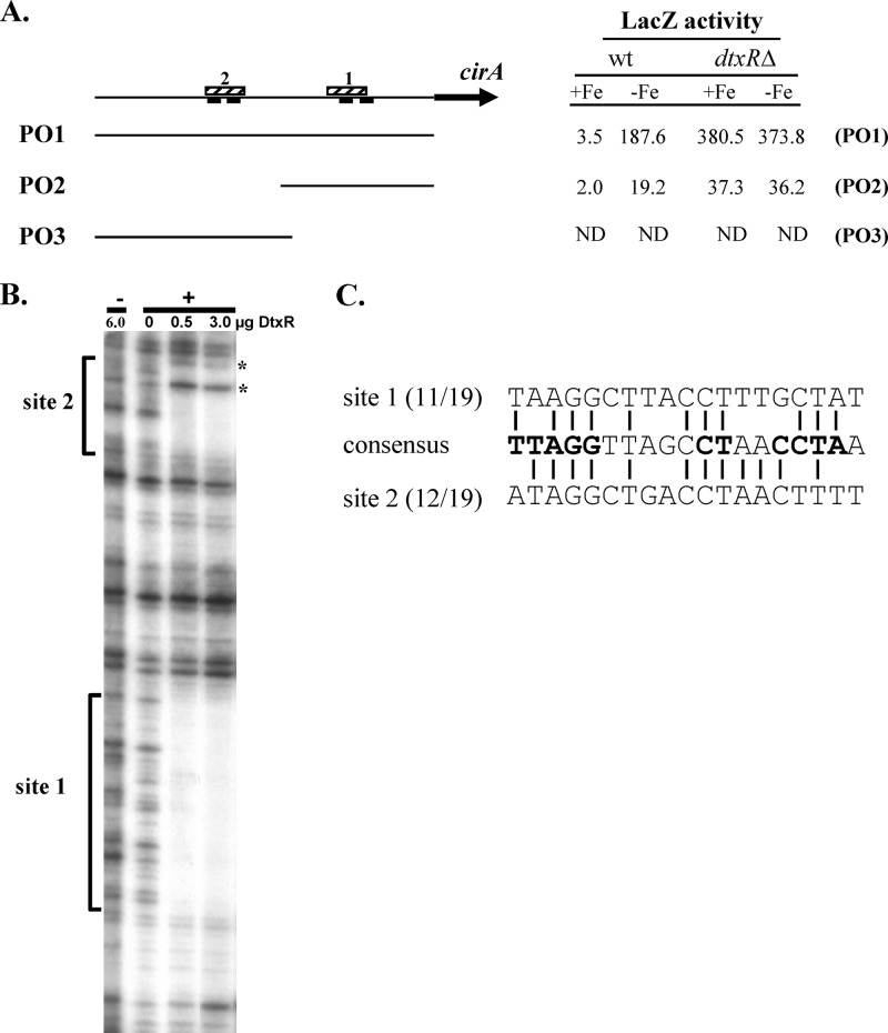 Fig 2