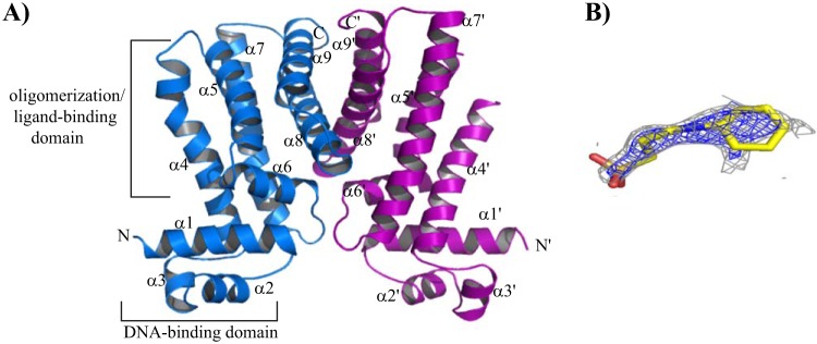 FIG 2