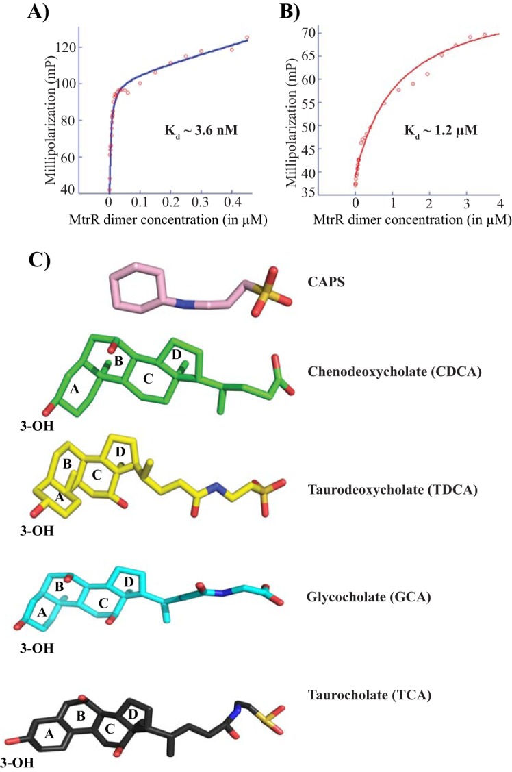 FIG 3