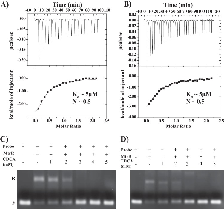 FIG 4