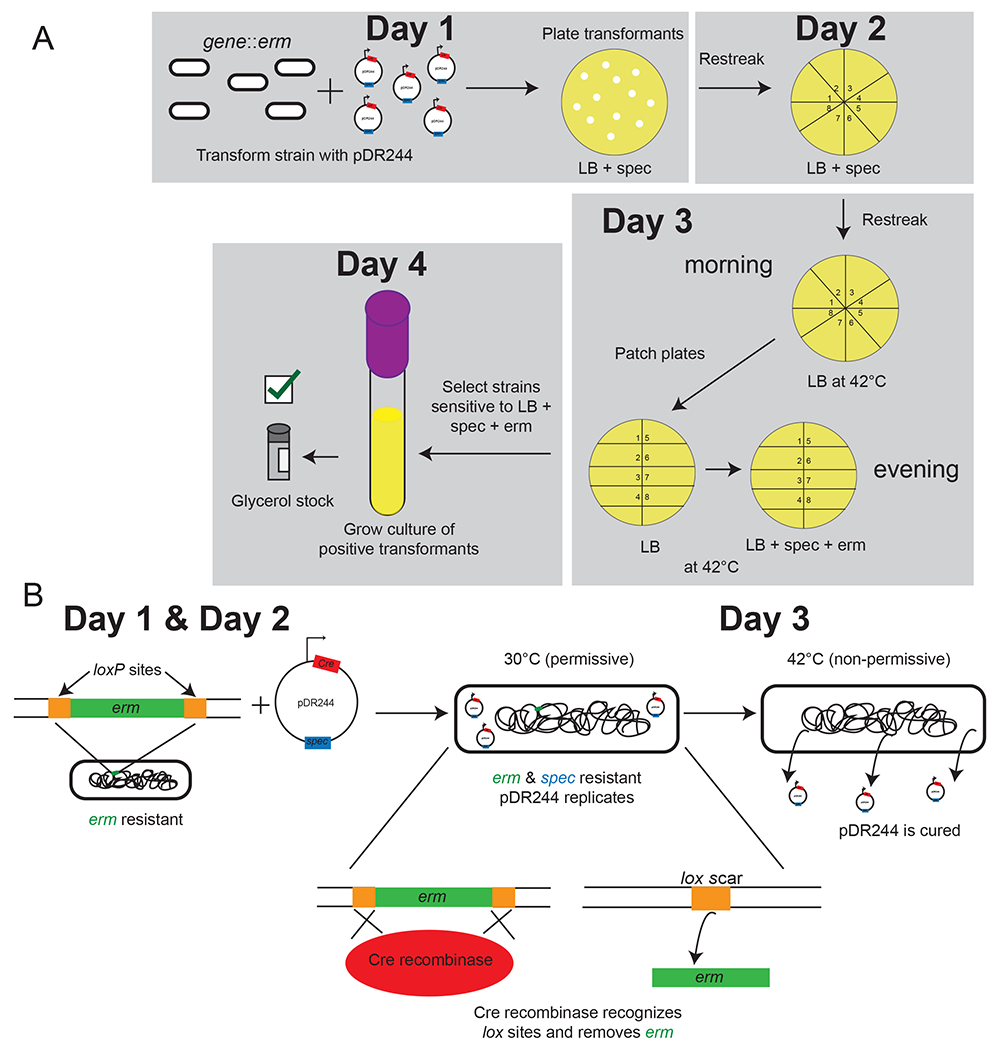 Figure 2.