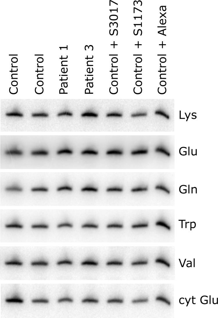 Figure 6.