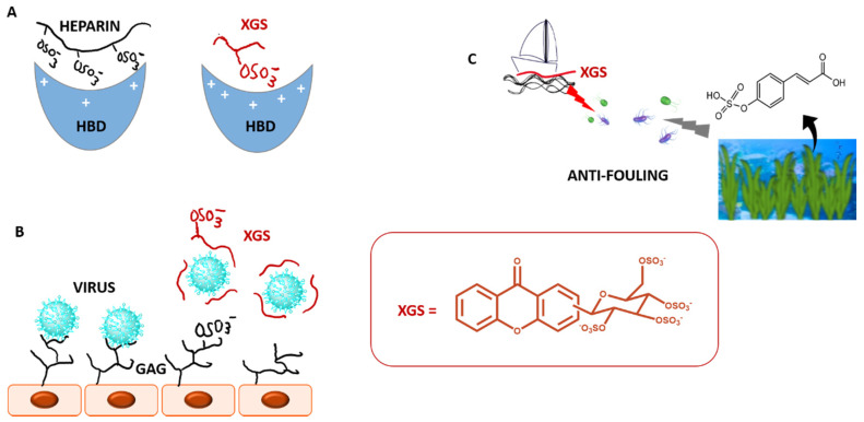 Figure 14