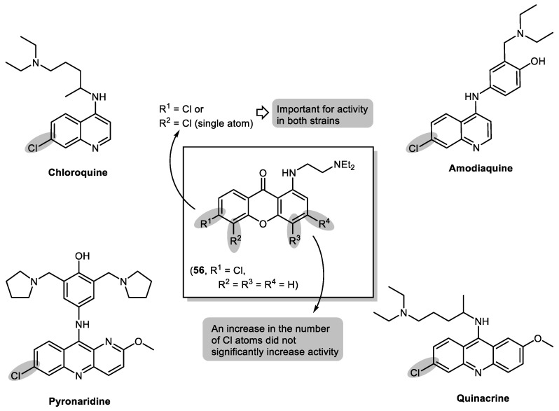 Figure 13