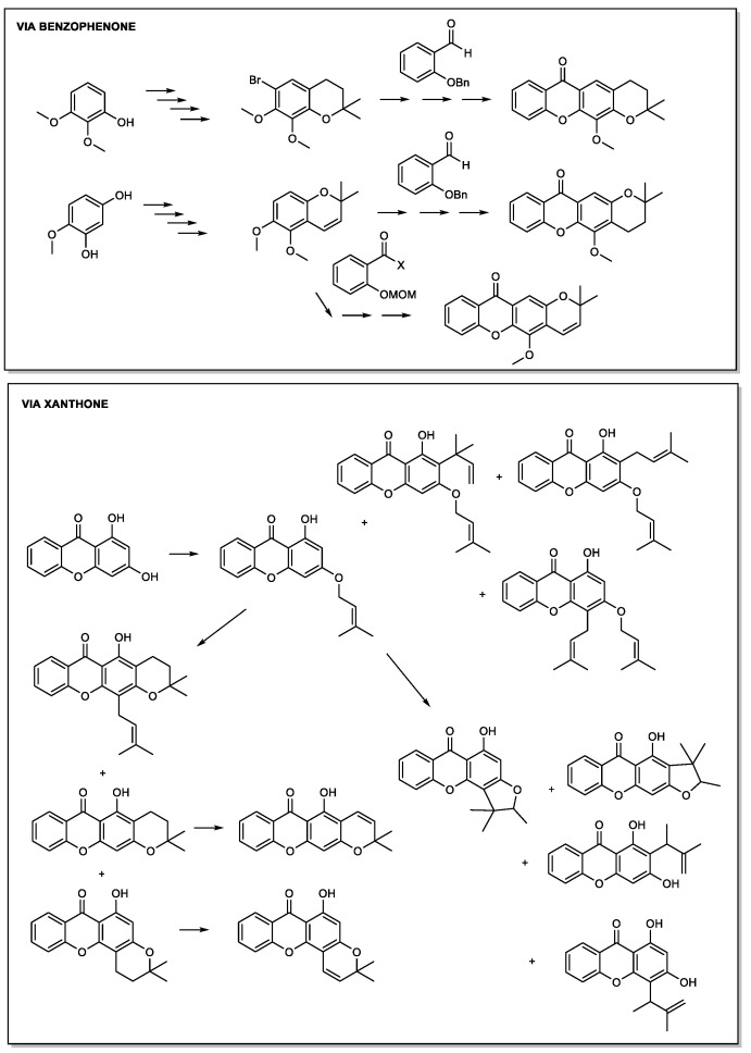 Scheme 3