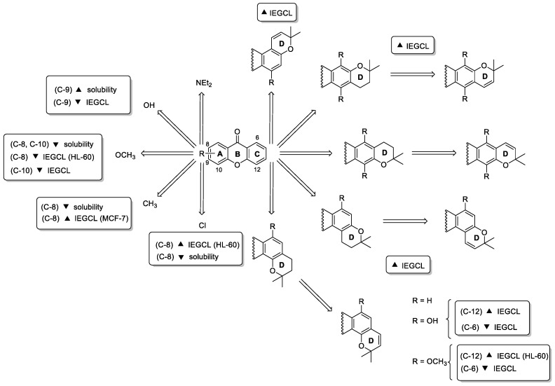 Scheme 4