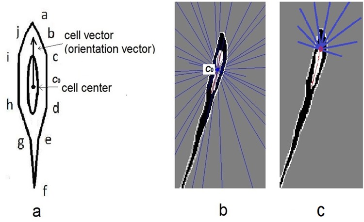 Fig 4