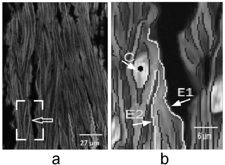 Fig 5