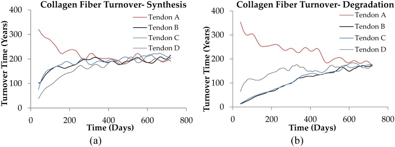 Fig 11