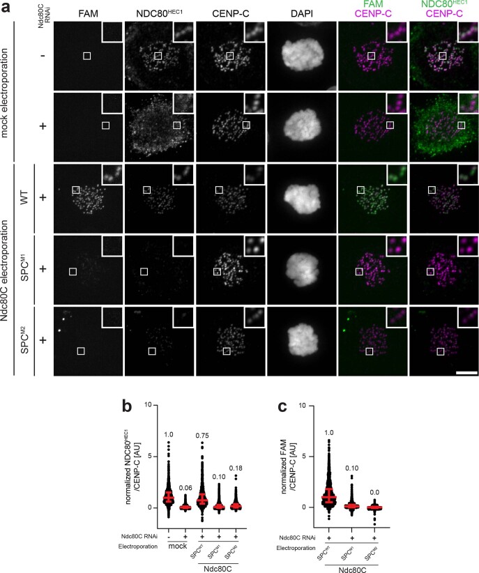 Extended Data Fig. 6