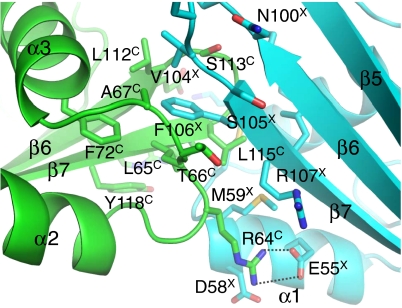 Fig. 3.