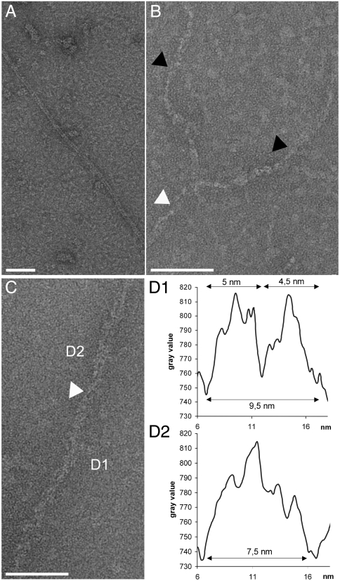 Fig. 2.