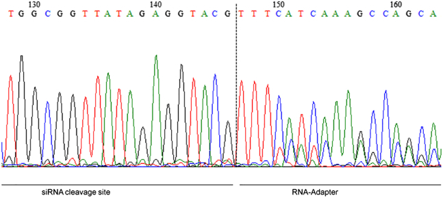 Figure 6