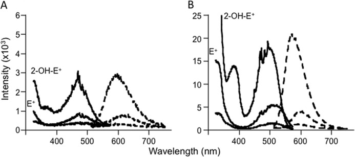 FIGURE 4.