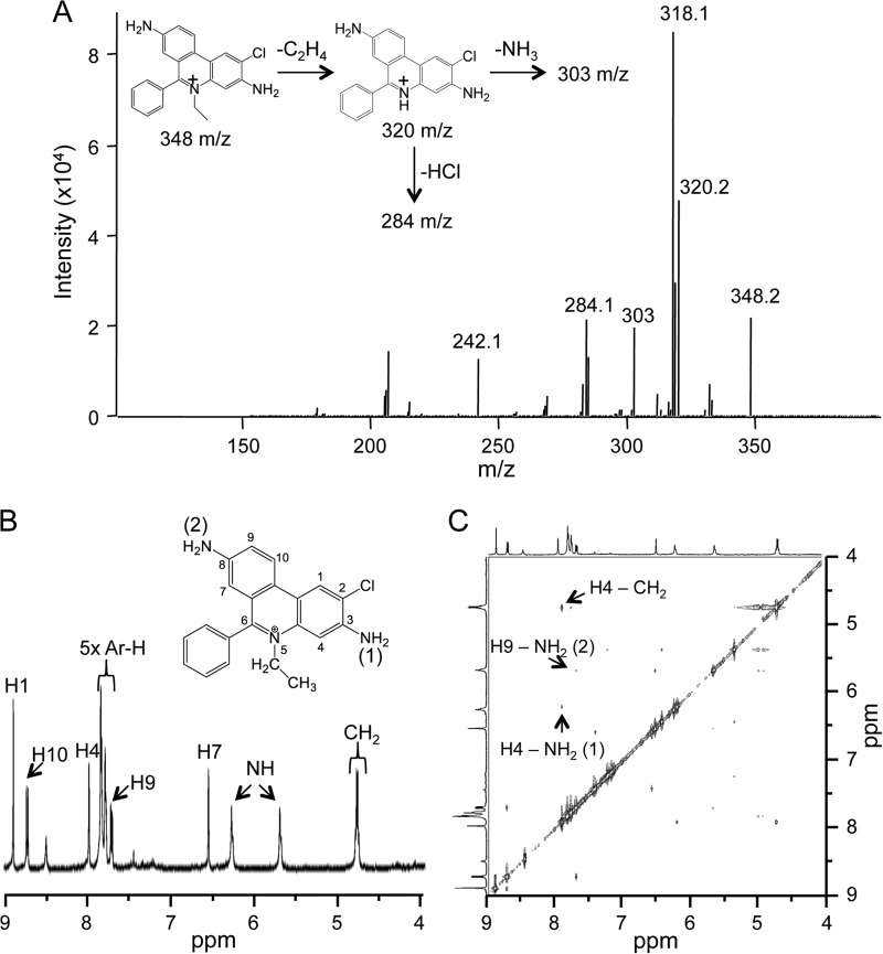 FIGURE 3.