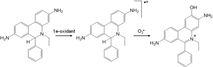 SCHEME 1.