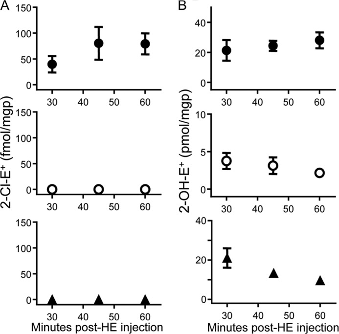 FIGURE 10.