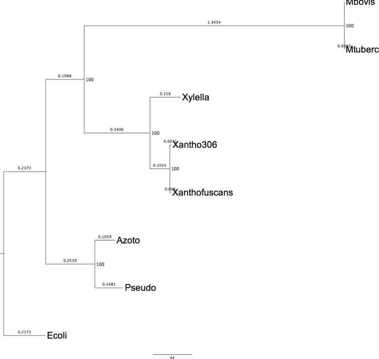 Fig. 8