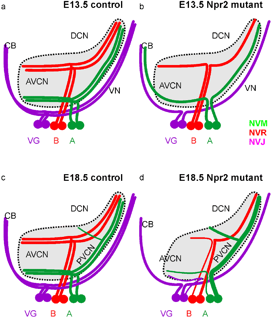 Fig. 9