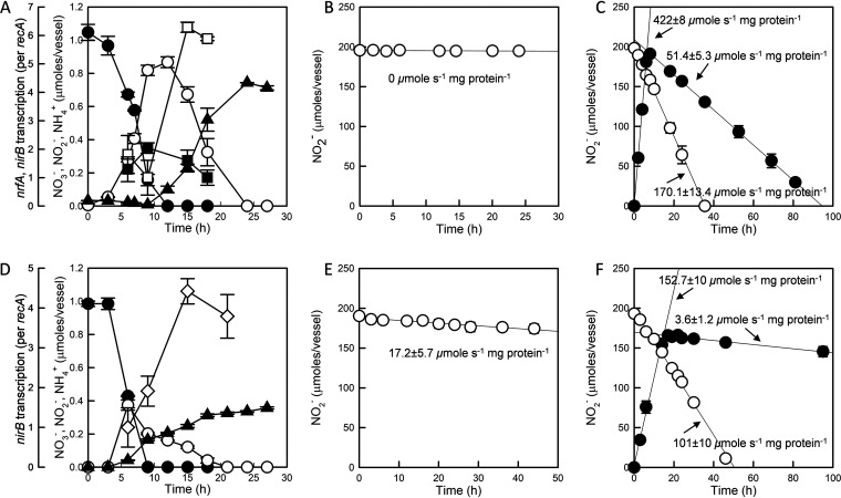 FIG 3