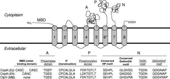 FIG. 3.