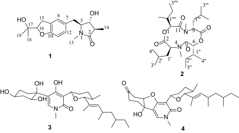 Fig. 1