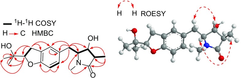 Fig. 2