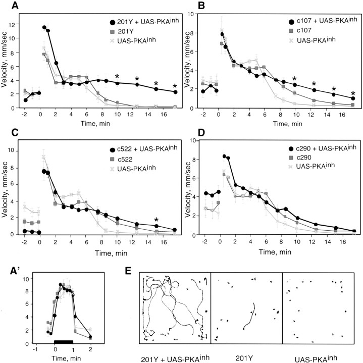 Fig. 6.