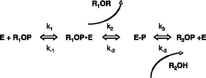 graphic file with name 11302_2005_Article_5435_Fig4.jpg