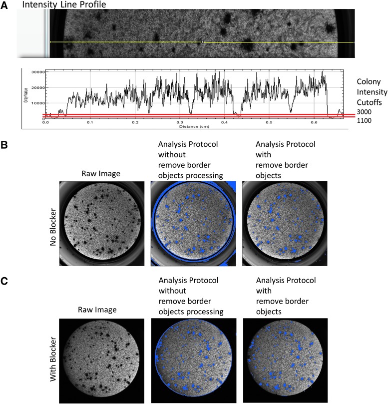 Fig. 4.