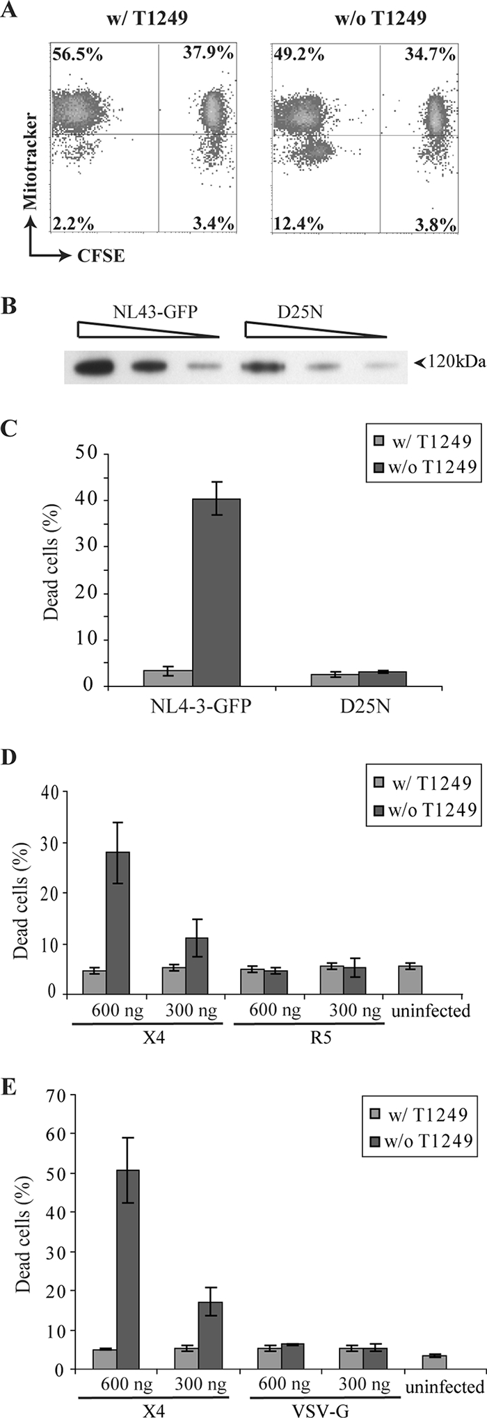 FIG. 3.