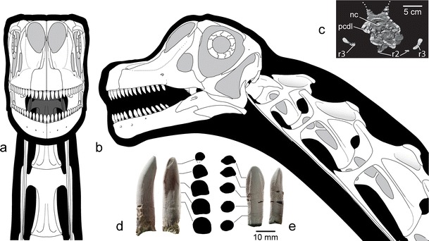 Fig. 4