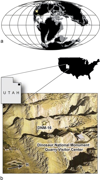 Fig. 1