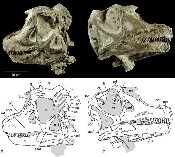 Fig. 3